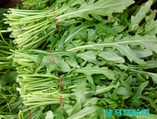 茼蒿好吃？吃茼蒿对肝好吗？