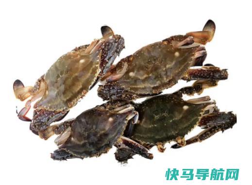 梭子蟹蒸熟了吃不完怎么保存？青蟹和梭子蟹哪个更适合煲粥